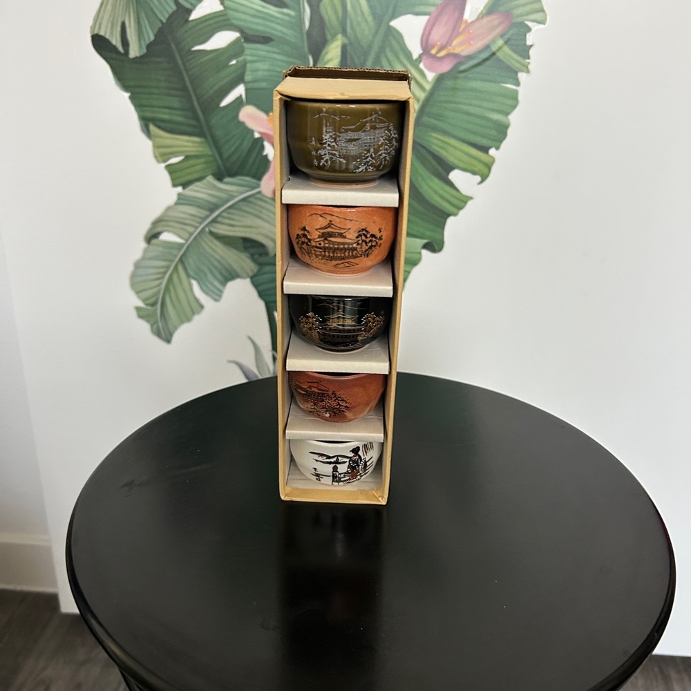 Elegant Multicolor Ceramic Tea Cup Set